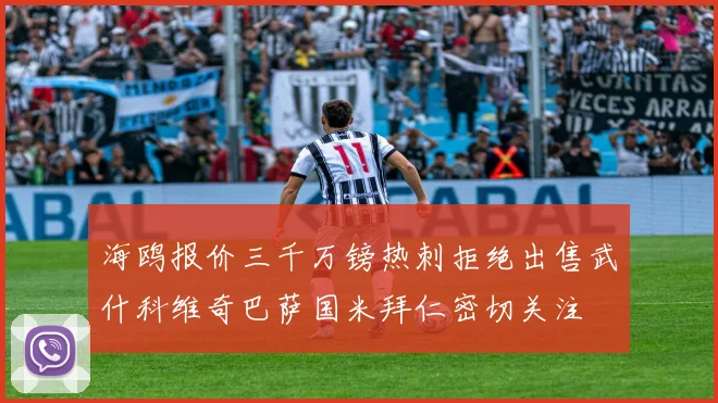 海鸥报价三千万镑热刺拒绝出售武什科维奇巴萨国米拜仁密切关注